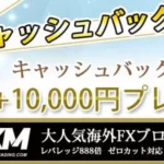 【2026年】XM(エックスエム)のキャッシュバックサイト比較、TariTali(タリタリ)がおすすめ
